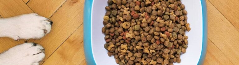 Allergivenlig foderguide