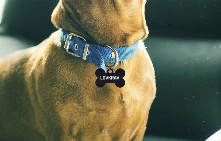 Lovkrav omkring hundetegn