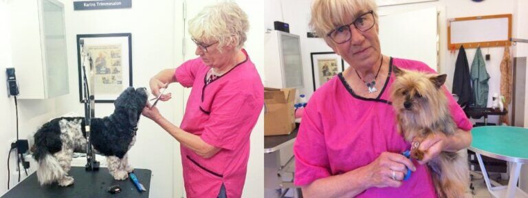 Når hunden skal i hundesalon