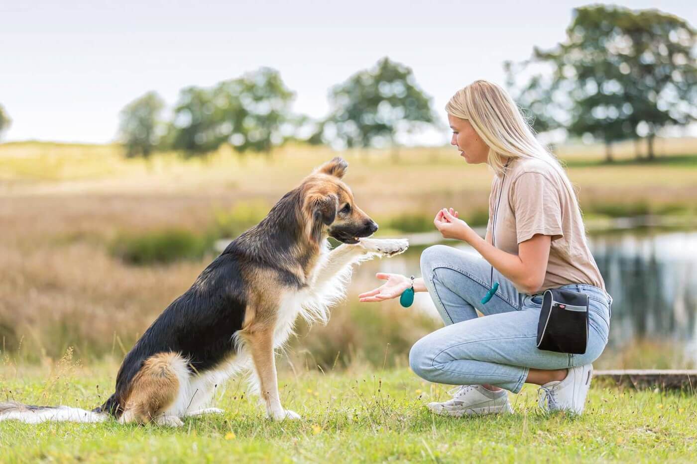 Klikkertræning – forklaring og forståelse