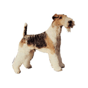 Klistermærker hunderacer med F, Lille