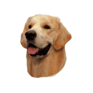 Klistermærker hunderacer med G, Lille