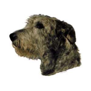 Klistermærker hunderacer med I, Lille