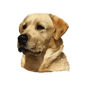 Klistermærker hunderacer med L, Lille