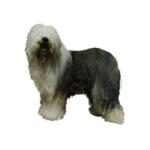 Klistermærker hunderacer med O, Lille