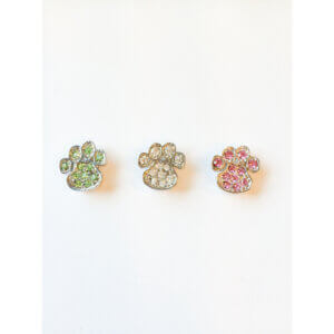 Foufoudog Rhinsten pote *