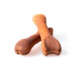 21022_treateaters_smallbiscuitbonechickenflavor_c_web-scaled-1