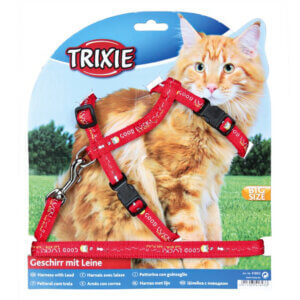 Kattesele til store katte