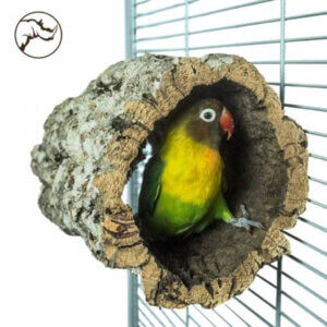 Back Zoo Nature Barkhule Small