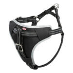 Dogprotect-sikkerhedssele-1