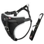 Dogprotect-sikkerhedssele