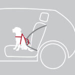 Dogprotect-sikkerhedssele-fastspænding-1