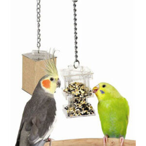 Hide Away Foraging Feeder