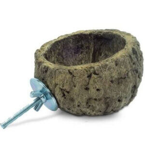 Nature Discovery Bowl