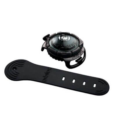 Orbiloc_Dog_Dual_Adjustable-Strap_DARK_exposed_HR