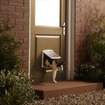 Petsafe-kattelem-700-serie-2-vejs-installeret
