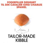 Royal-Canin-Cavalier-King-Charles-puppy