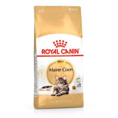 Royal-Canin-Maine-Coon