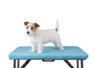 Trimmebords tæppe og Jack russel