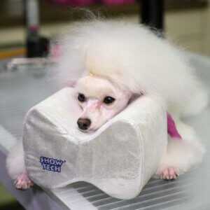 Show Tech Comfy pude til topsætning small