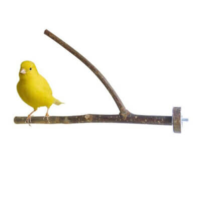 Traepind-til-fuglebur-Y-cirka-25cm-1_default.jpg