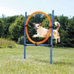 agility-ring-2_default.jpg