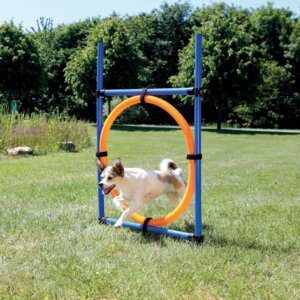 Agility Ring på 65cm