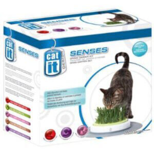Catit Senses Grass garden kit (incl. græsfrø)