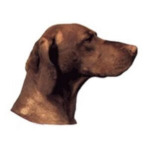 Klistermærke Vizla, Lille