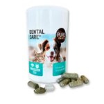 dental-care-plus-(4)