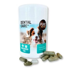 PURE Dental Care+ 90 kapsler