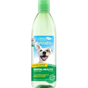 Fresh Breath Oral Care Water Additiver - Green Tea