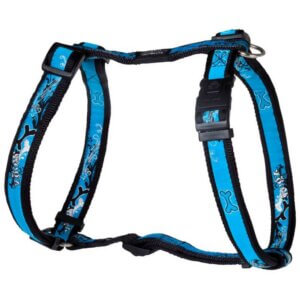 Rogz sele Turquise Chrome - 32-52 cm