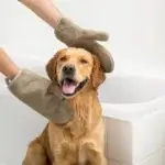 Hand tørres efter bad med Siccaro