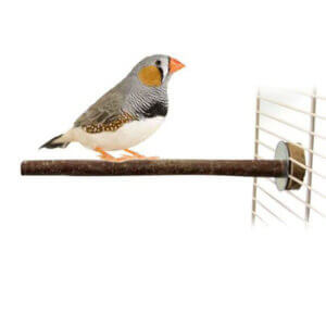 Træpind til fuglebur Small 20cm