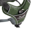 Hunter-Divo-easy-walk