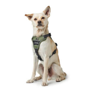 Hunter Divo Hundesele Grøn