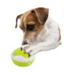afp-interactives-puppy-interpreter1