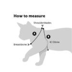 Guide-sådan-måler-du-din-killing
