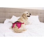 finnero ballerina 11