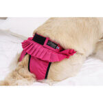 finnero ballerina 13