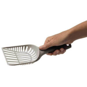 Kattegrus skovl Grå