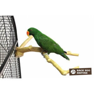 Back Zoo Nature Java Siddepind Large