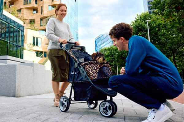 Hundeklapvogn InnoPet Urban serien er perfekt til bylivet