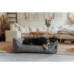 HunterOrtopaediskHundesengMerida2