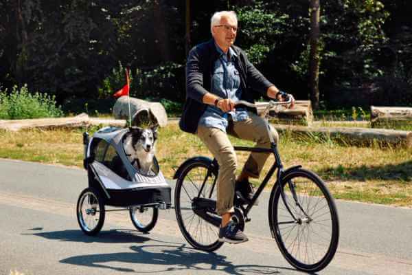 InnoPet Sporty serien kan bruges på både cykel og som hundeklagvogn