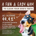 KONG Dental Ball Teeth Cleaning Gel (3)