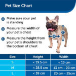 petsafe hundelem 1