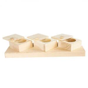 back-zoo-nature-braintrainer-cups