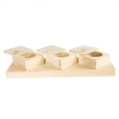 back-zoo-nature-braintrainer-cups